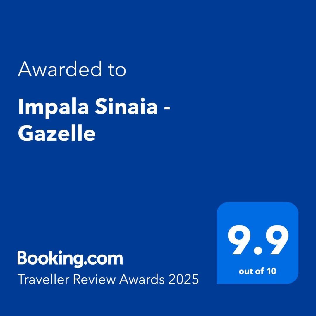 Impala Sinaia - Gazelle Apartment ภายนอก รูปภาพ